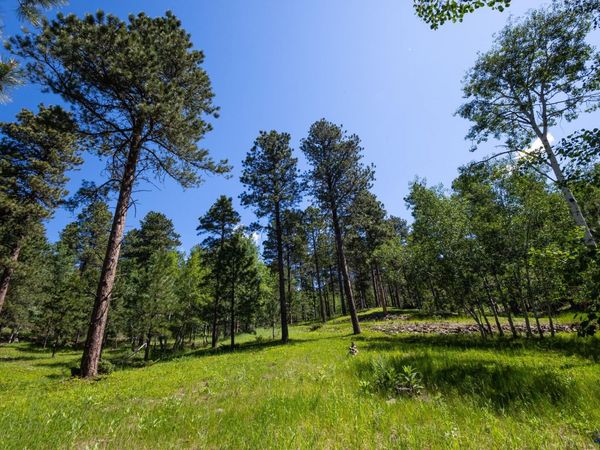 Lot 18 OTHER, Deadwood, SD 57732