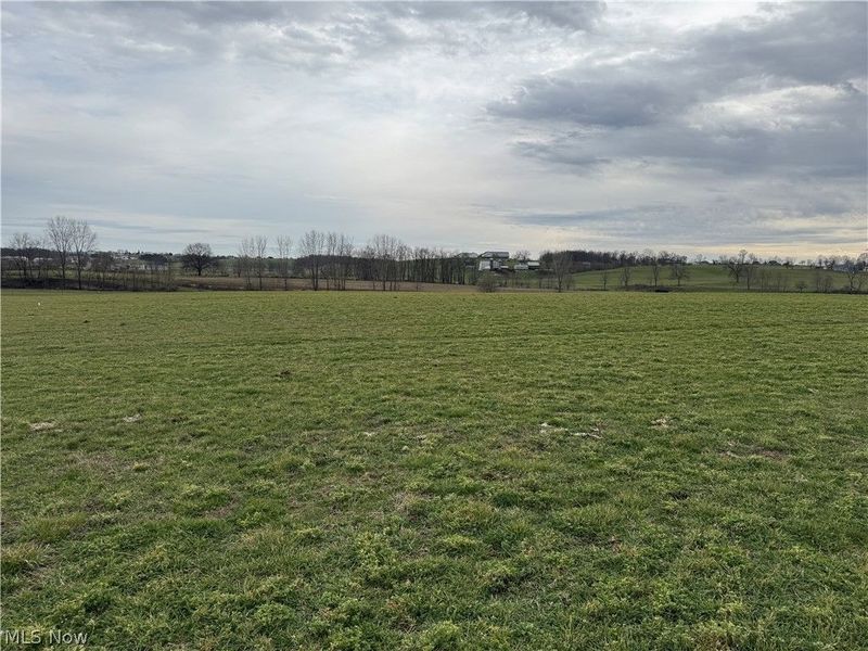 Township Road 613, Fredericksburg, OH 44627 Photo 3