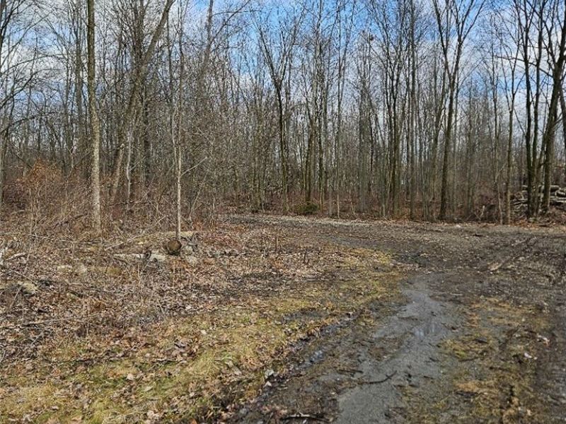 Ashley Circle , Austintown, OH 44515 Photo 3