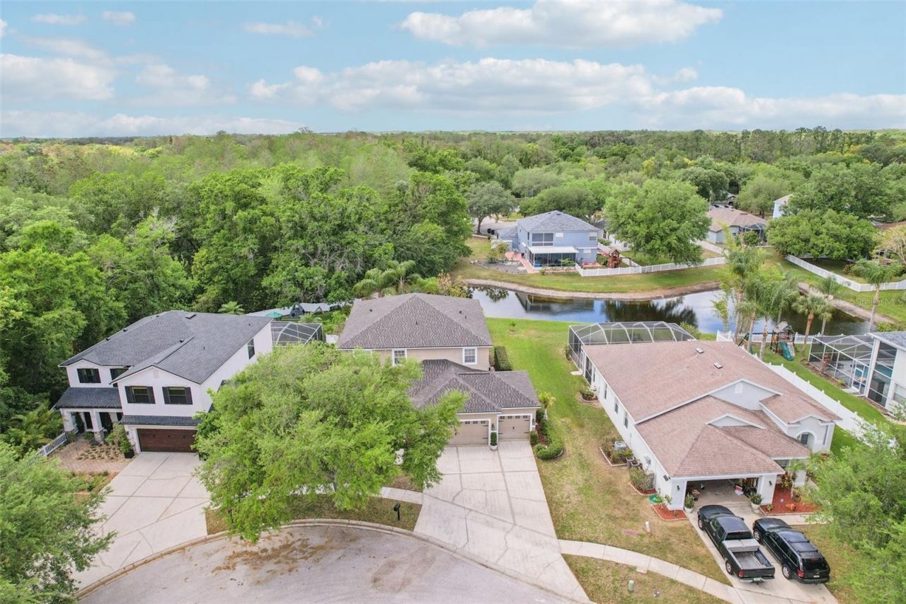 5504 Lake Leta Boulevard, Tampa, FL 33624 Photo