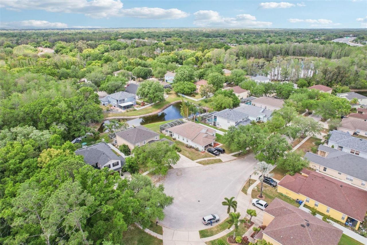 5504 Lake Leta Boulevard, Tampa, FL 33624 Photo