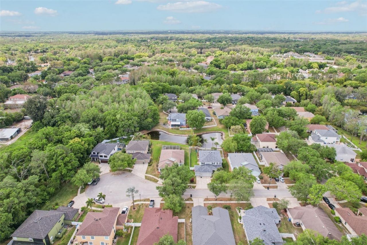 5504 Lake Leta Boulevard, Tampa, FL 33624 Photo