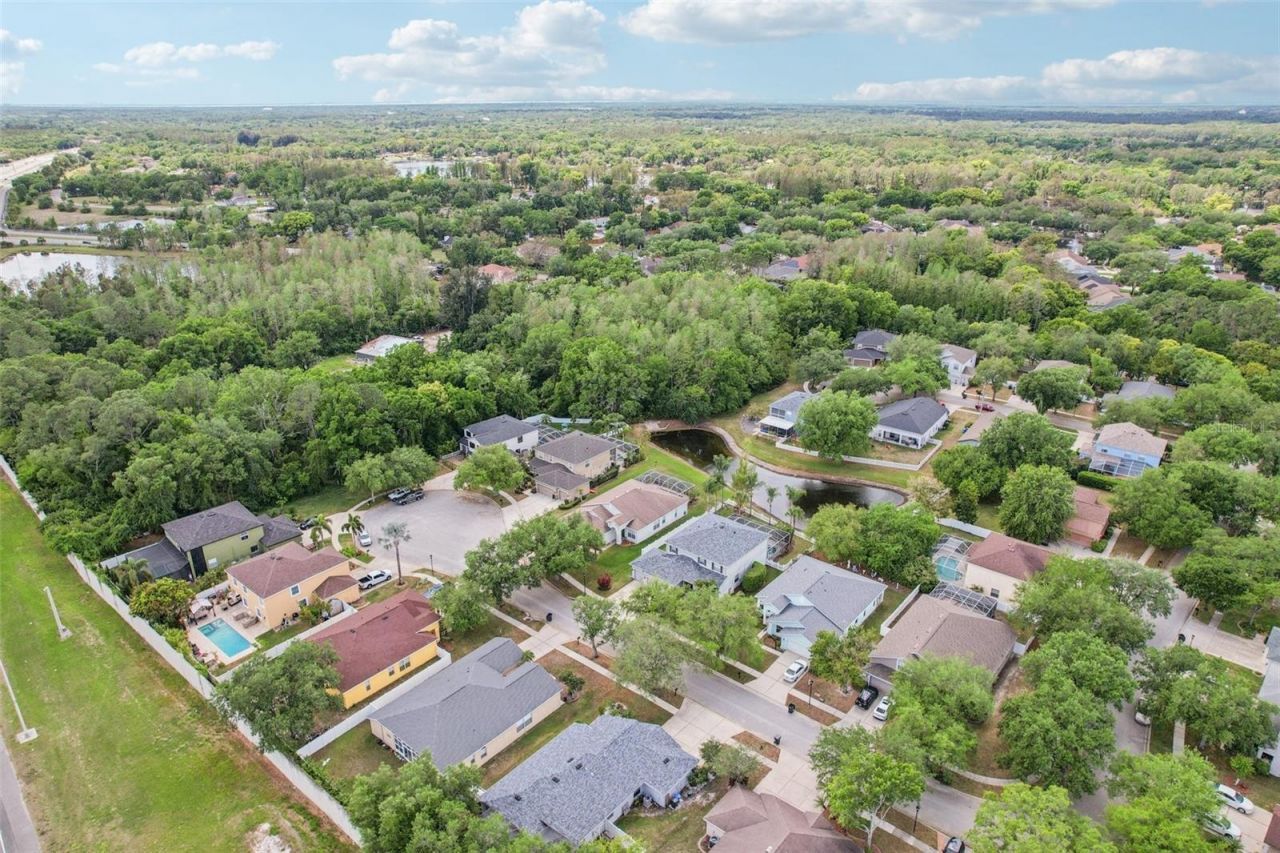 5504 Lake Leta Boulevard, Tampa, FL 33624 Photo