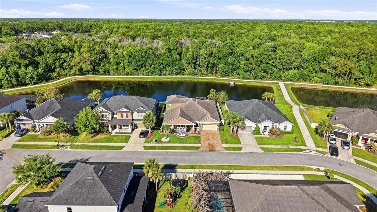 1737 Virginia Willow Drive, Wesley Chapel, FL 33544 Photo