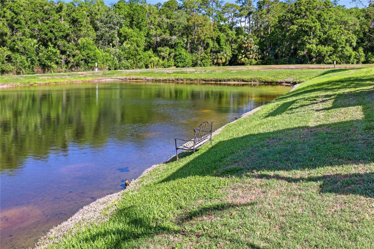 1737 Virginia Willow Drive , Wesley Chapel, FL 33544 Photo