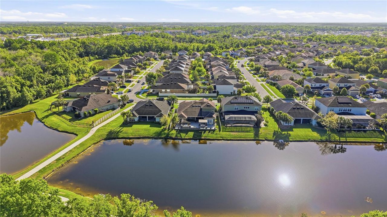 1737 Virginia Willow Drive , Wesley Chapel, FL 33544 Photo