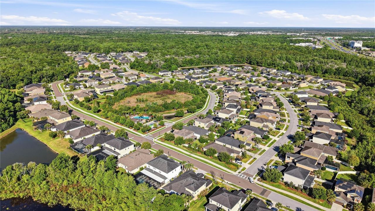 1737 Virginia Willow Drive , Wesley Chapel, FL 33544 Photo