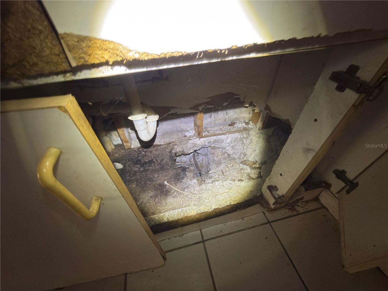 7720 Arezzo Avenue , Orlando, FL 32819 Photo