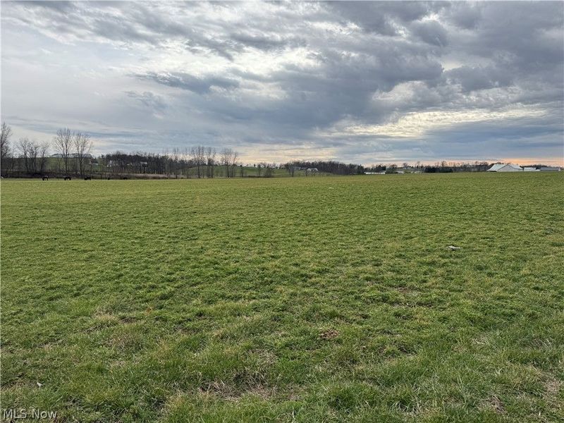 Township Road 613 , Fredericksburg, OH 44627 Photo 4