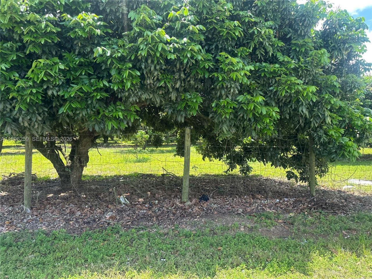 206xx SW 344 St , Homestead, FL 33034 Photo