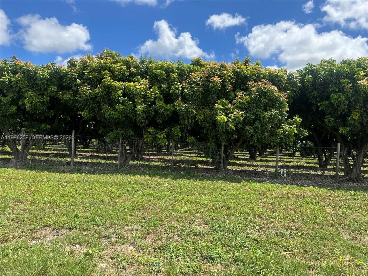 206xx SW 344 St , Homestead, FL 33034 Photo