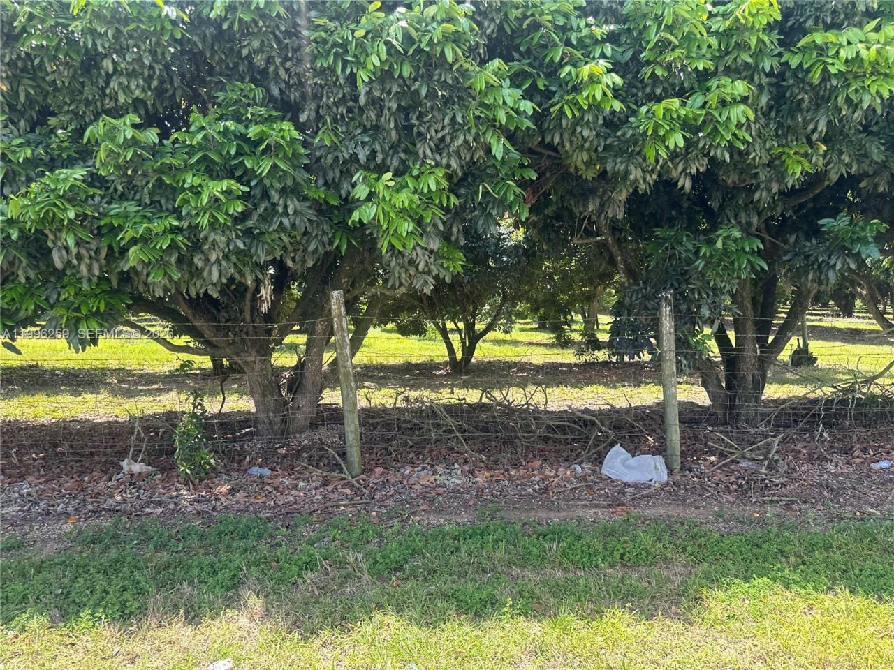 206xx SW 344 St , Homestead, FL 33034 Photo