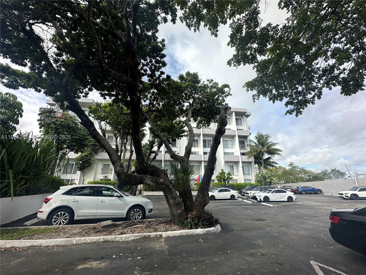 7801 NE 4th Ct, Unit 101, Miami, FL 33138 Photo