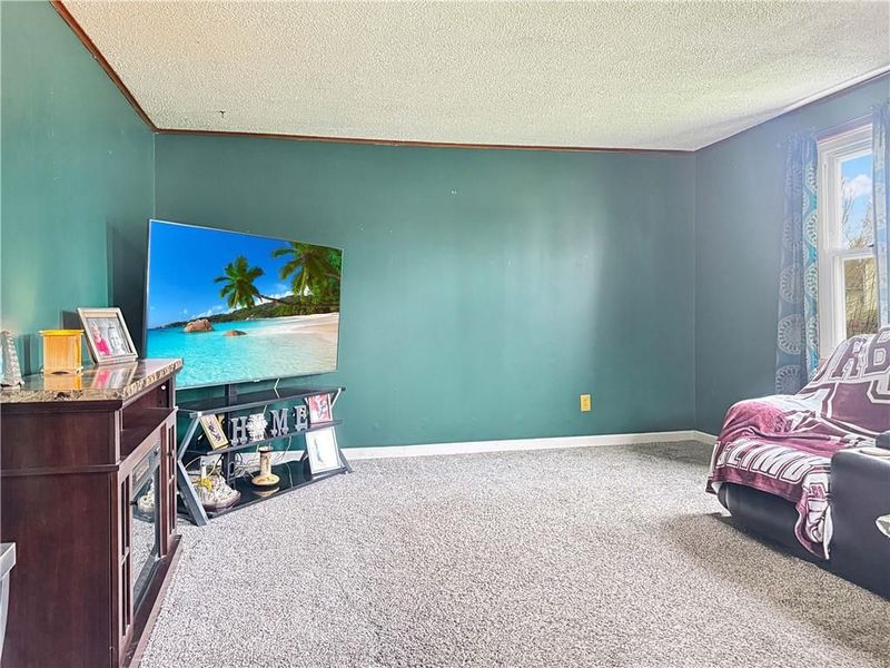 911 Miami Street, Urbana, OH 43078 Photo 8