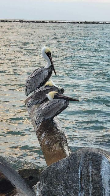 235 Fordham Drive, Lake Worth Beach, FL 33460 Photo