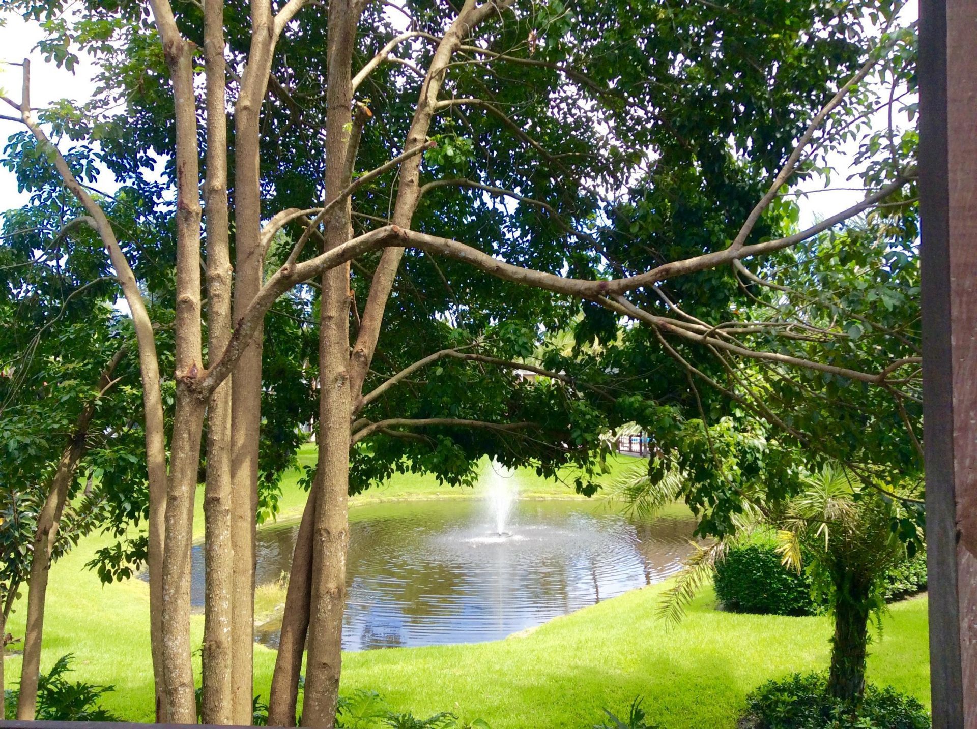 11863 Wimbledon Circle, Unit 546, Wellington, FL 33414 Photo