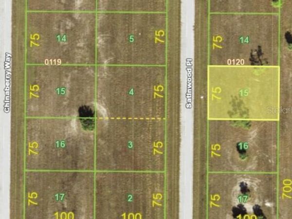 8 SATINWOOD PLACE , PLACIDA, FL 33946