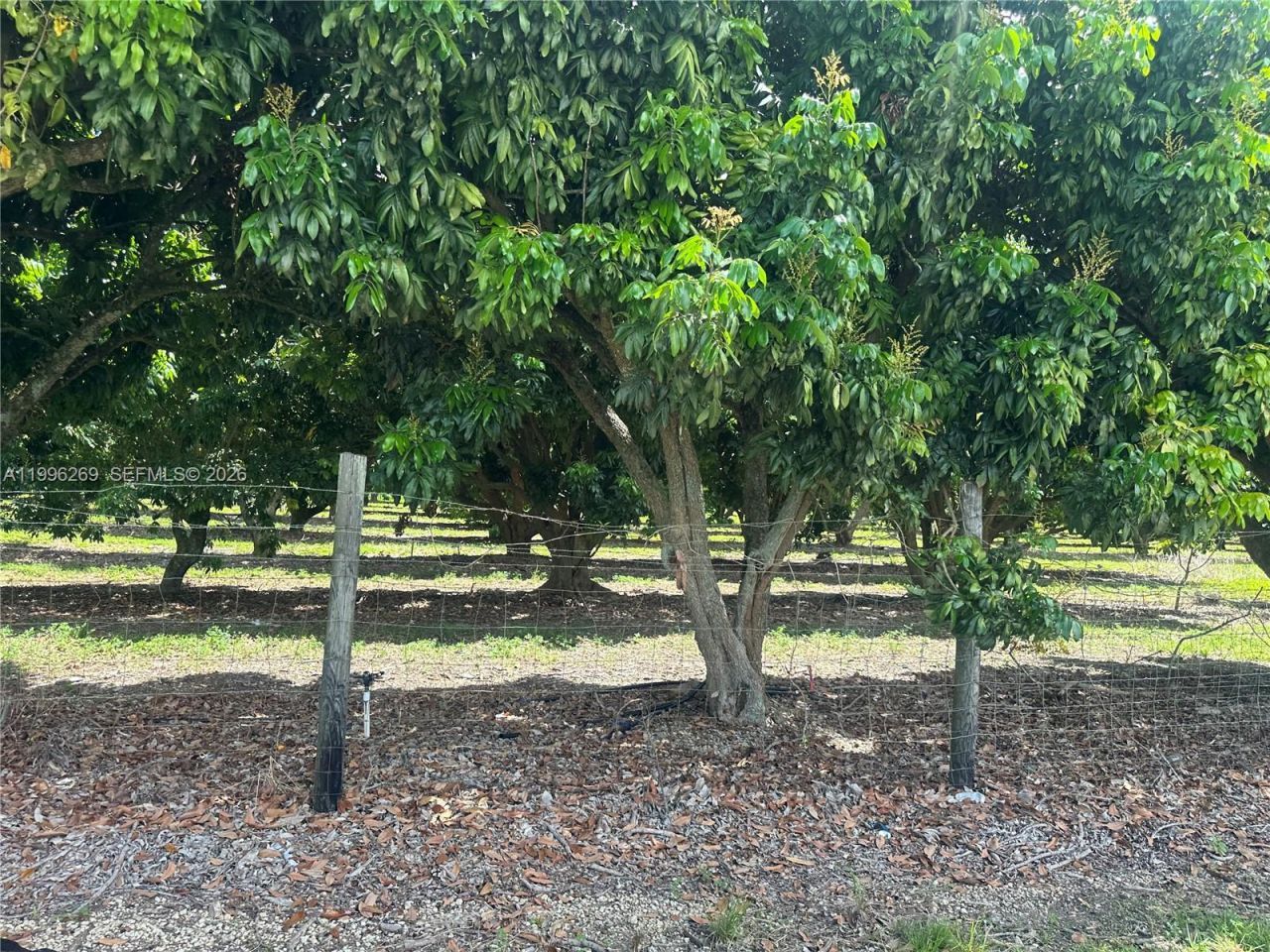 Please Call For Address, Homestead, FL 33034 Photo