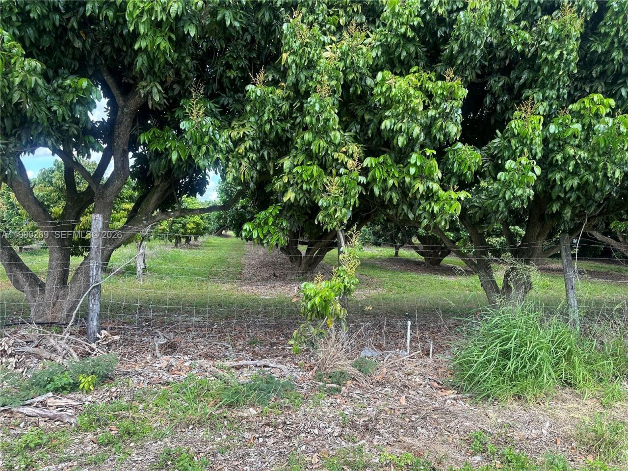 Please Call For Address, Homestead, FL 33034 Photo