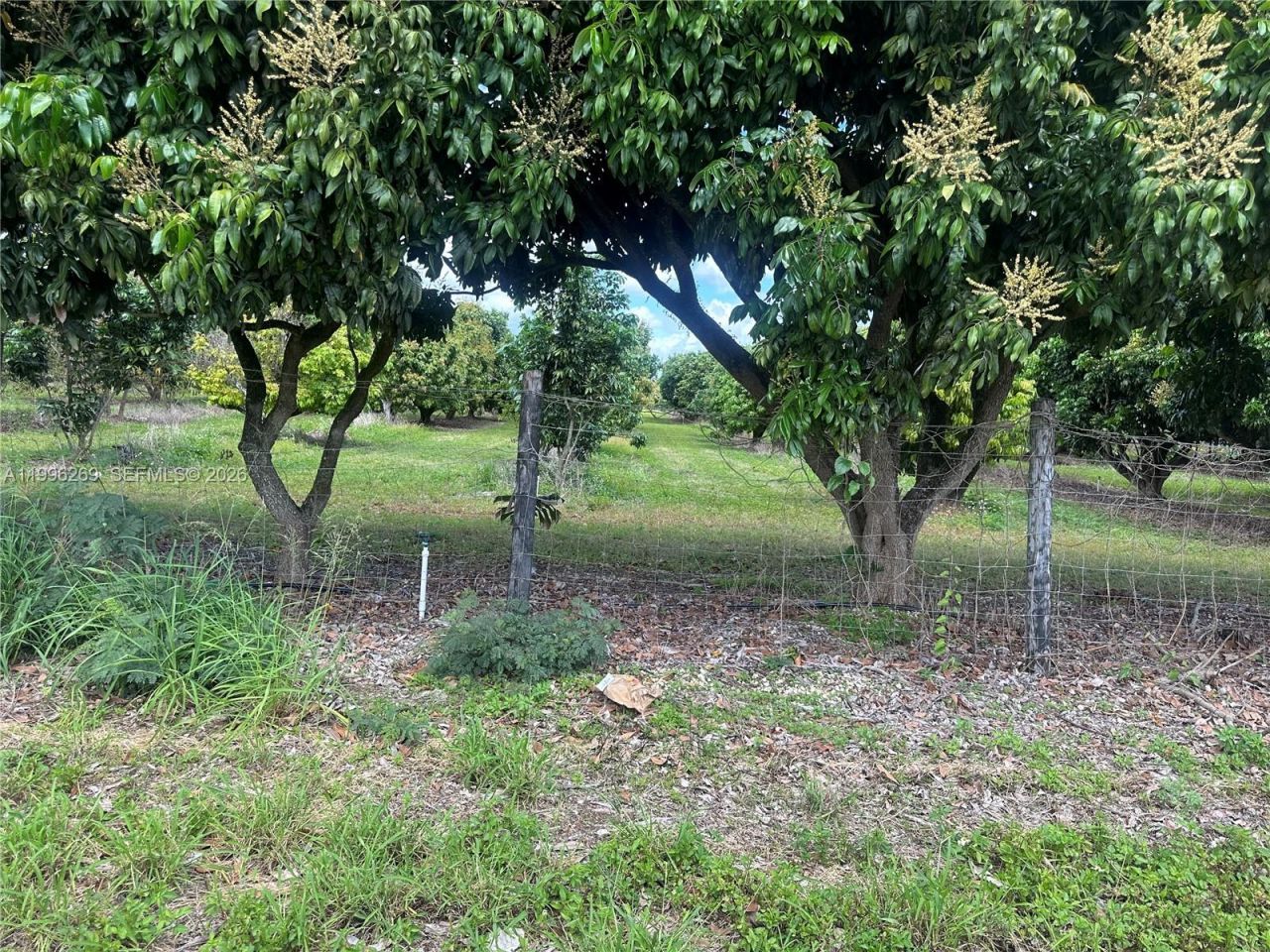 Please Call For Address, Homestead, FL 33034 Photo