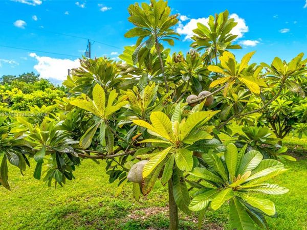 164XX SW 192 AVE, Miami, FL 33187