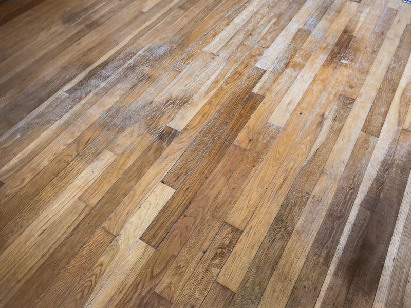 1977 Poplar Street, Obetz, OH 43207 Photo 25