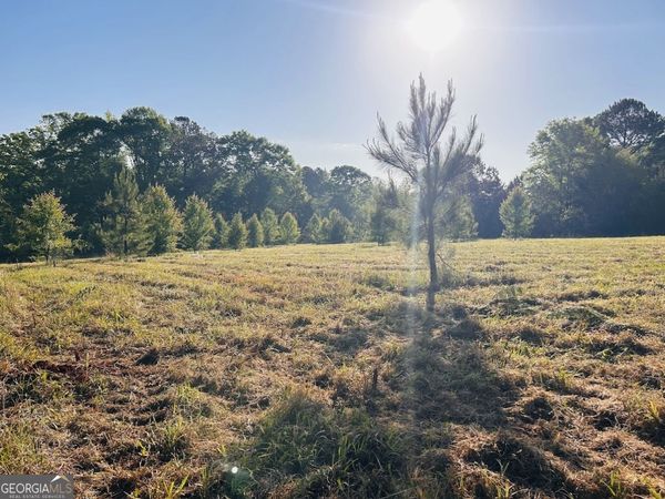 0 Collier Road, Unit TRACT 1, Concord, GA 30206