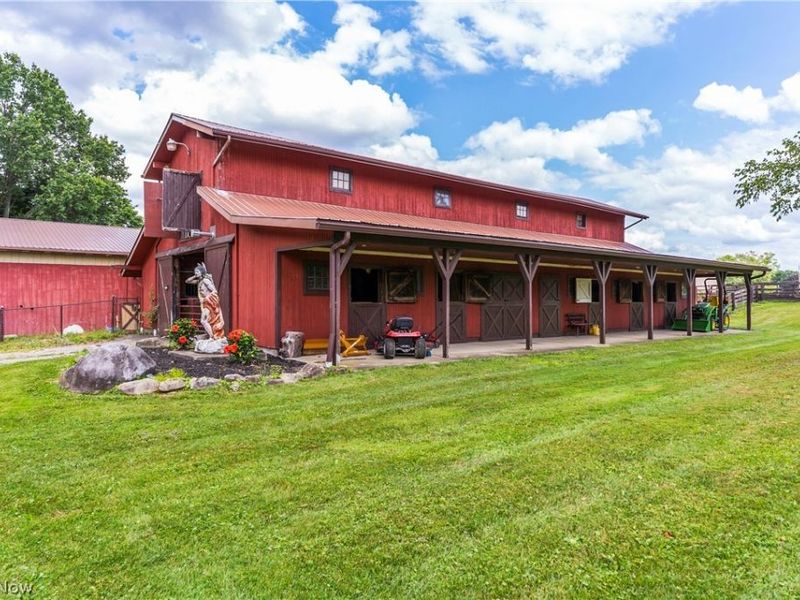 4114 S Raccoon Road , Canfield, OH 44406 Photo 10