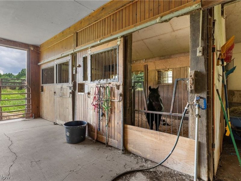 4114 S Raccoon Road , Canfield, OH 44406 Photo 12