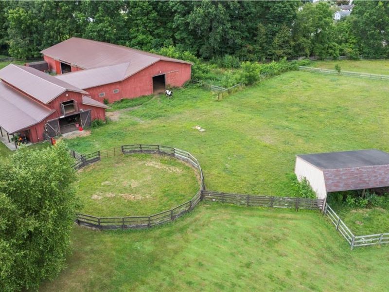 4114 S Raccoon Road , Canfield, OH 44406 Photo 49