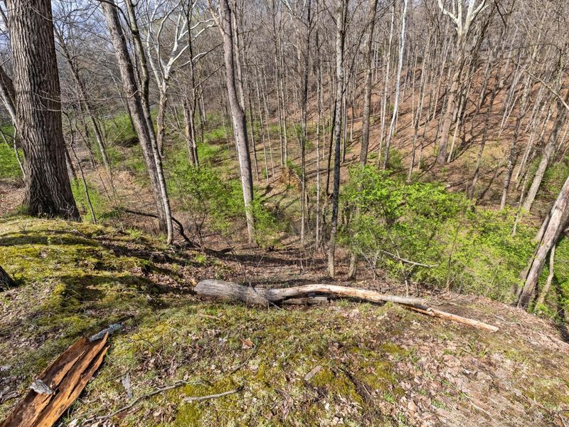 7860 Schott Road , Westerville, OH 43081 Photo 68