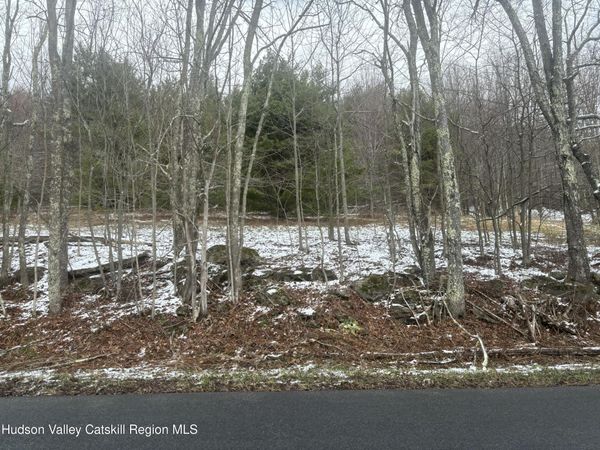 0 Peck Road, Windham, NY 12496