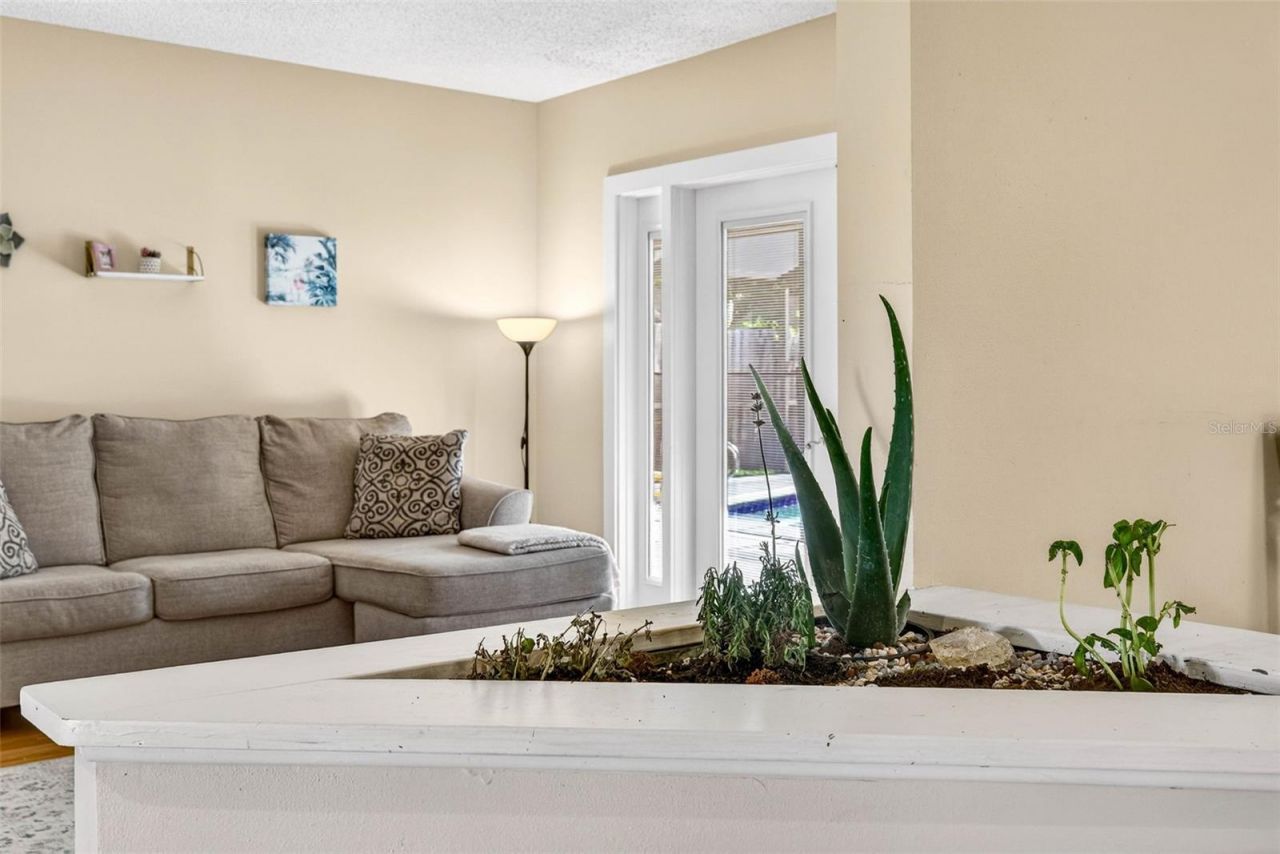 12913 Rain Forest Street, Temple Terrace, FL 33617 Photo