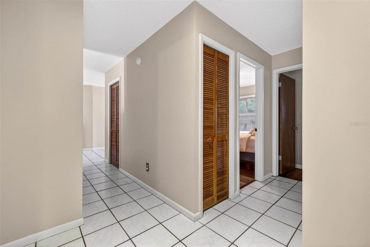 12913 Rain Forest Street, Temple Terrace, FL 33617 Photo