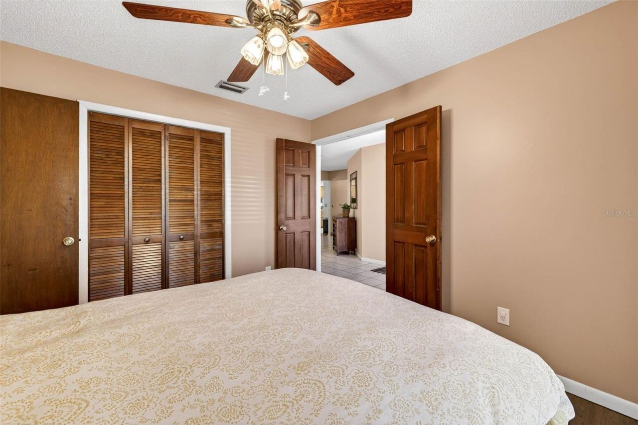 12913 Rain Forest Street, Temple Terrace, FL 33617 Photo