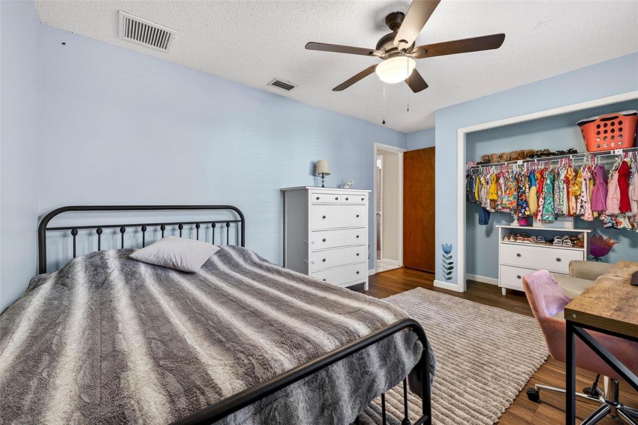 12913 Rain Forest Street, Temple Terrace, FL 33617 Photo