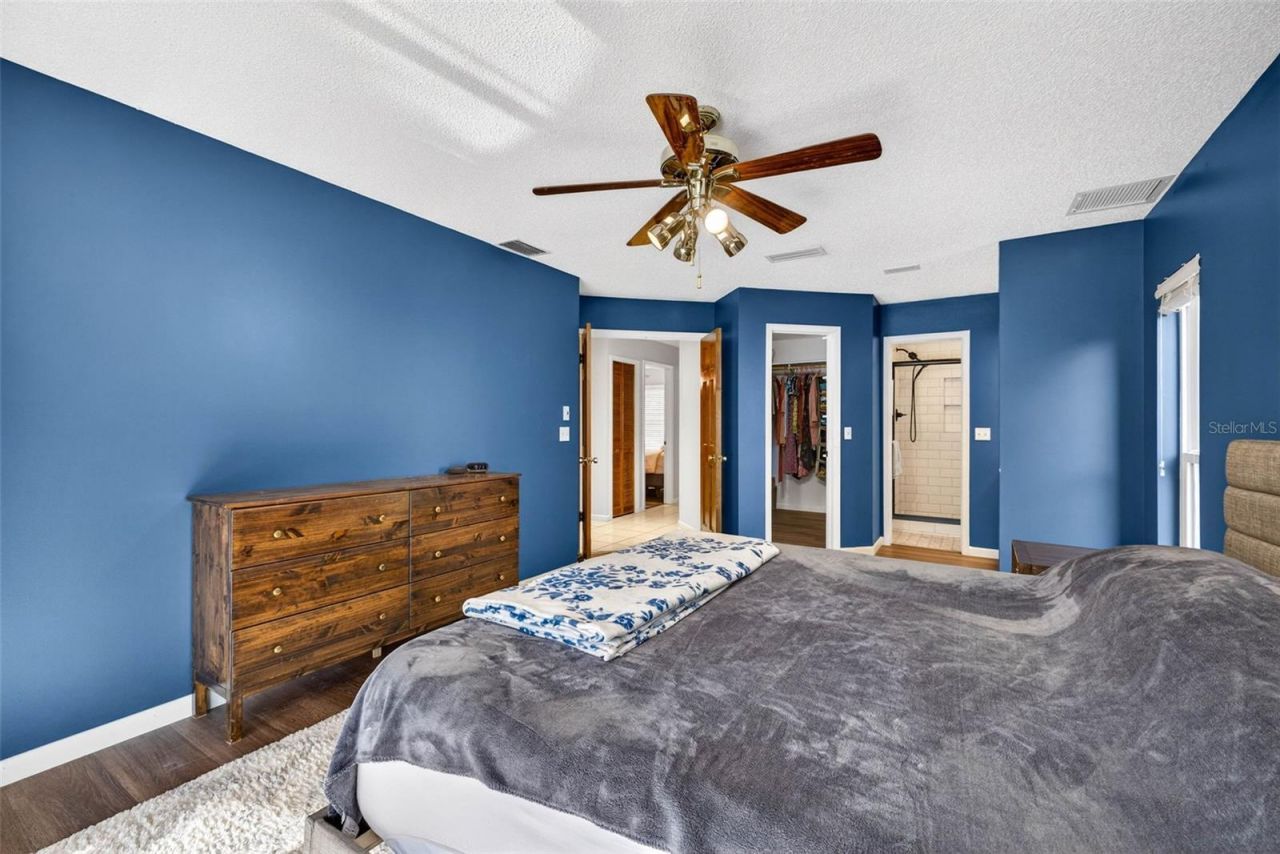 12913 Rain Forest Street, Temple Terrace, FL 33617 Photo