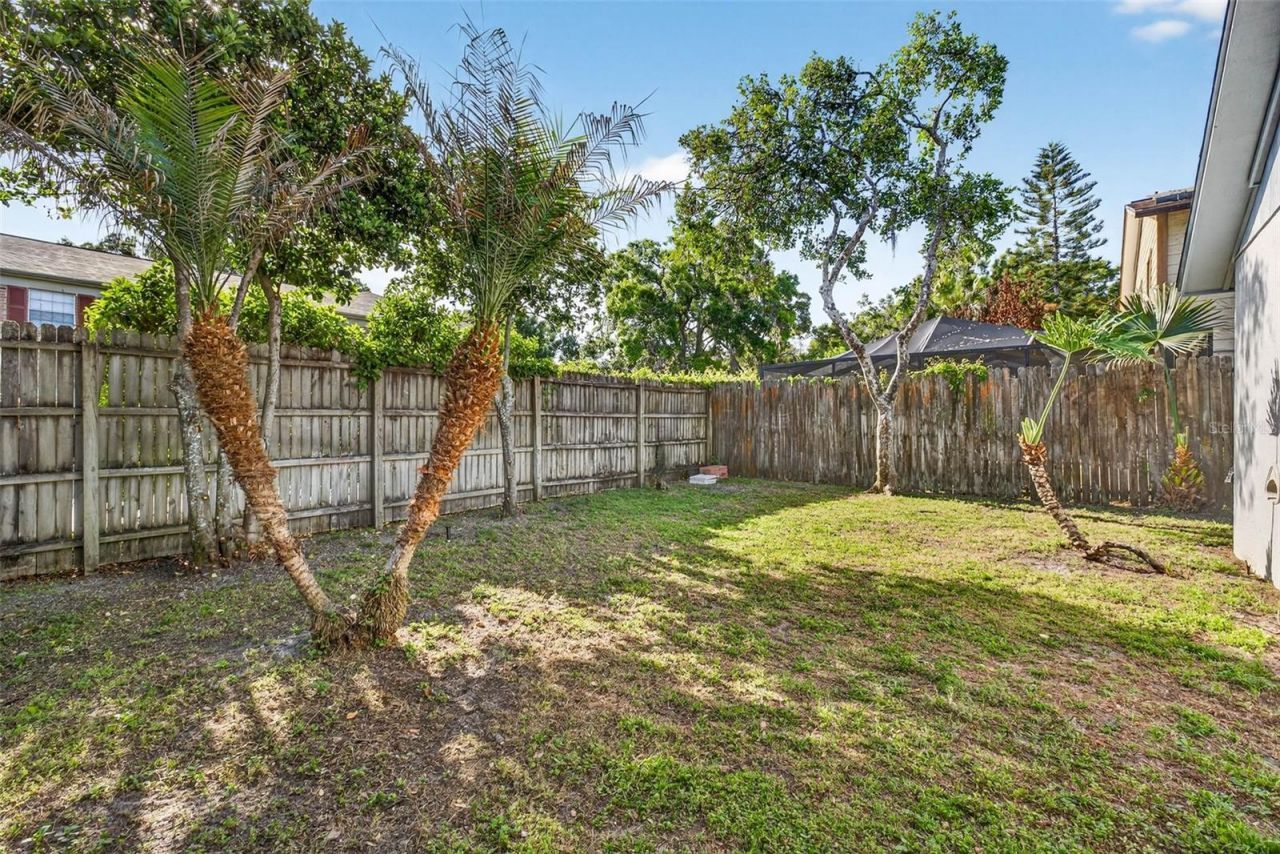 12913 Rain Forest Street, Temple Terrace, FL 33617 Photo