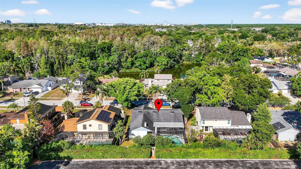 12913 Rain Forest Street, Temple Terrace, FL 33617 Photo