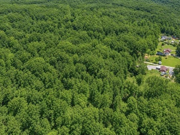 0 Highway 13, Erin, TN 37061