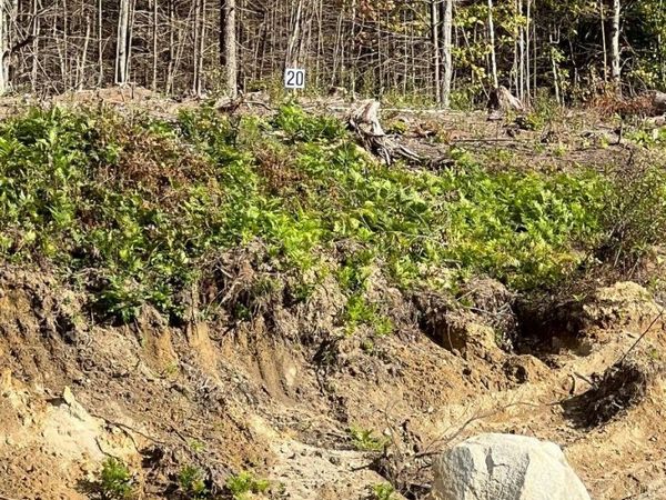 20 Hawthorne Road, Ossipee, NH 03864