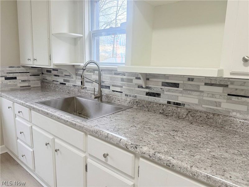 138 Roslyn, Youngstown, OH 44505 Photo 2