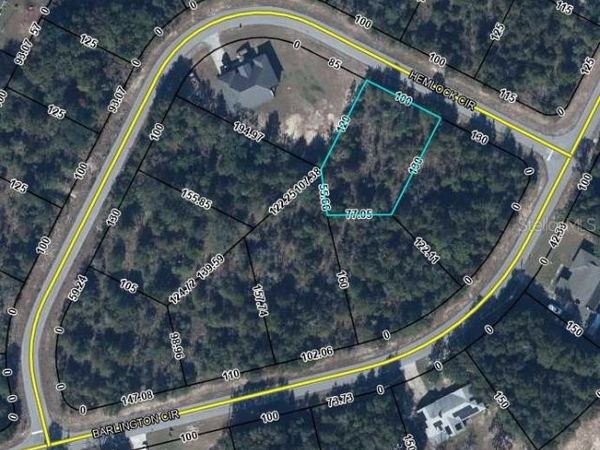 HEMLOCK CIRCLE, CHIPLEY, FL 32428