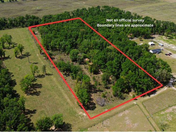 361 NW MADISON RD, Mayo, FL 32066