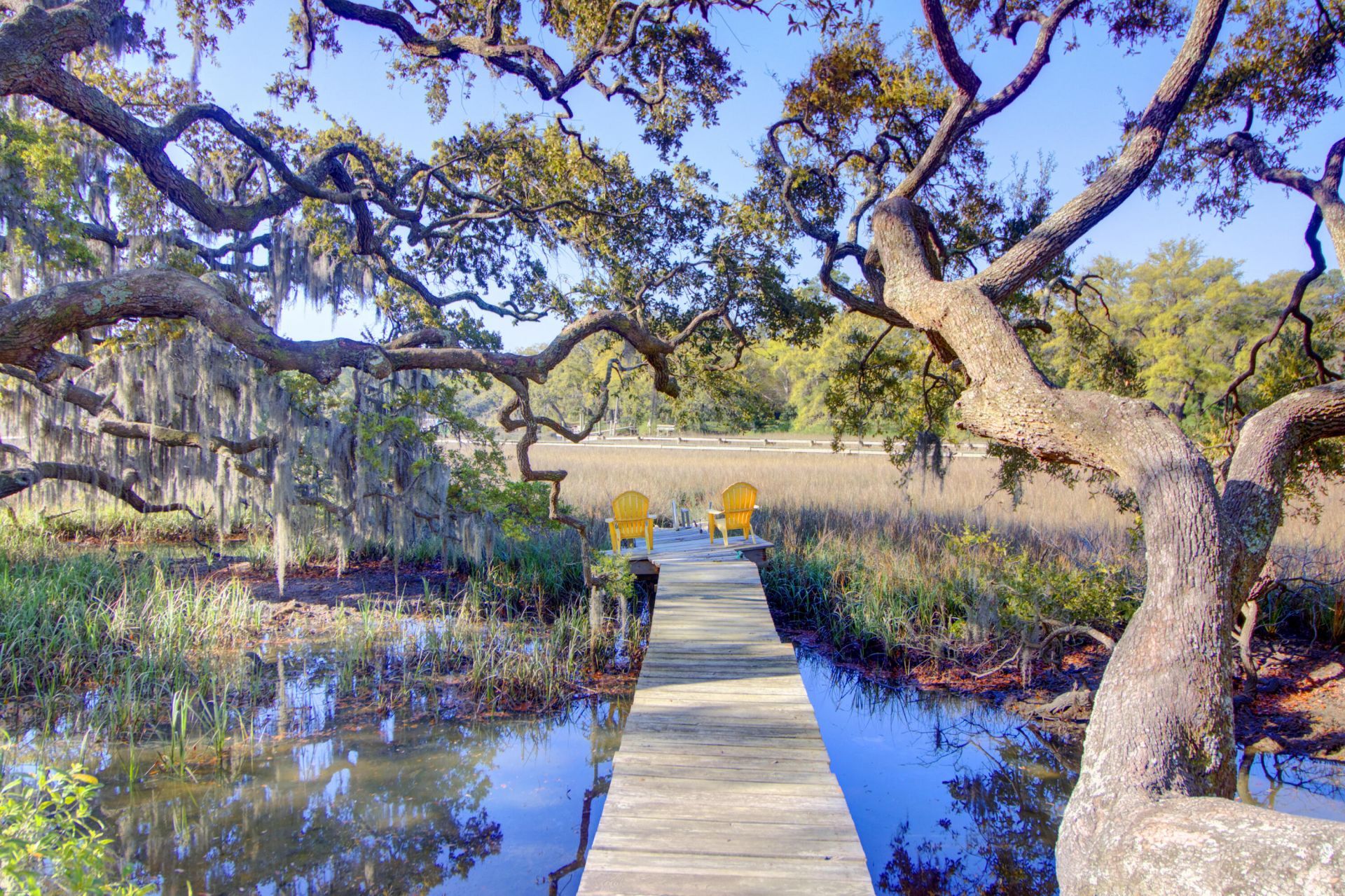 887 Parrot Creek Way Photo 5