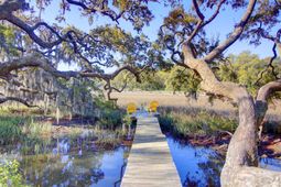 887 Parrot Creek Way photo 4