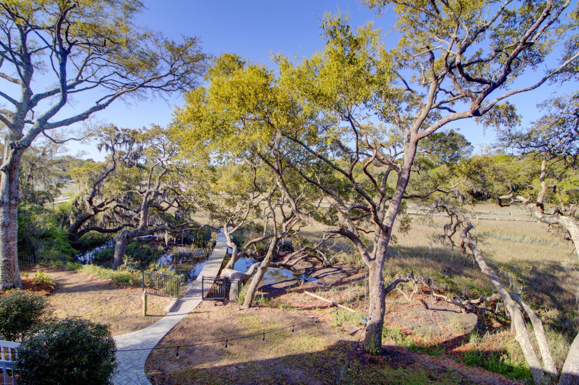 887 Parrot Creek Way Photo 56