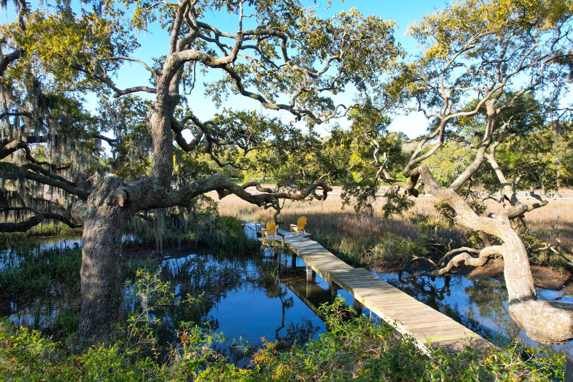 887 Parrot Creek Way Photo 71