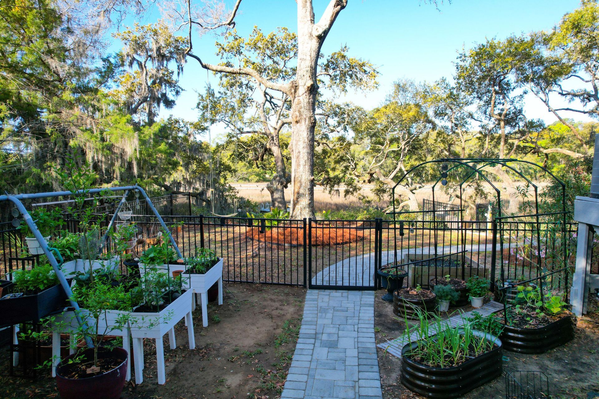 887 Parrot Creek Way Photo 73