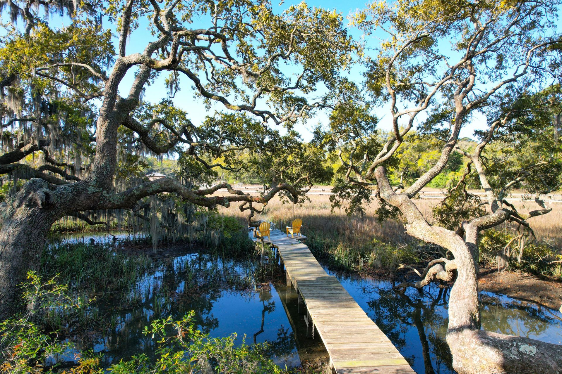 887 Parrot Creek Way Photo 74